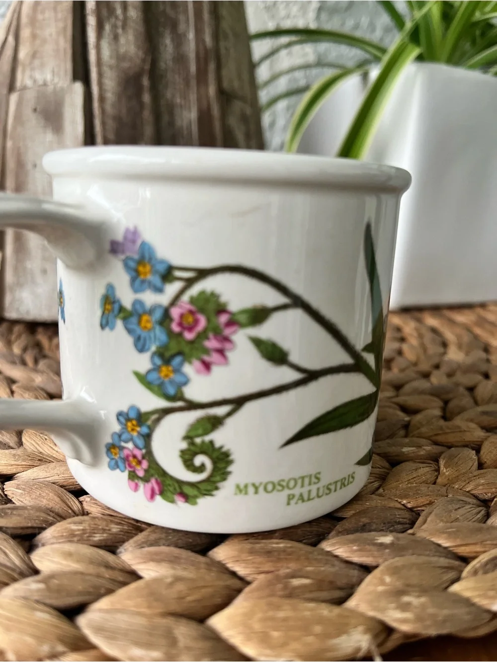 Portmeirion Botanic Garden Creamer Jug, 7oz (60110) Like New